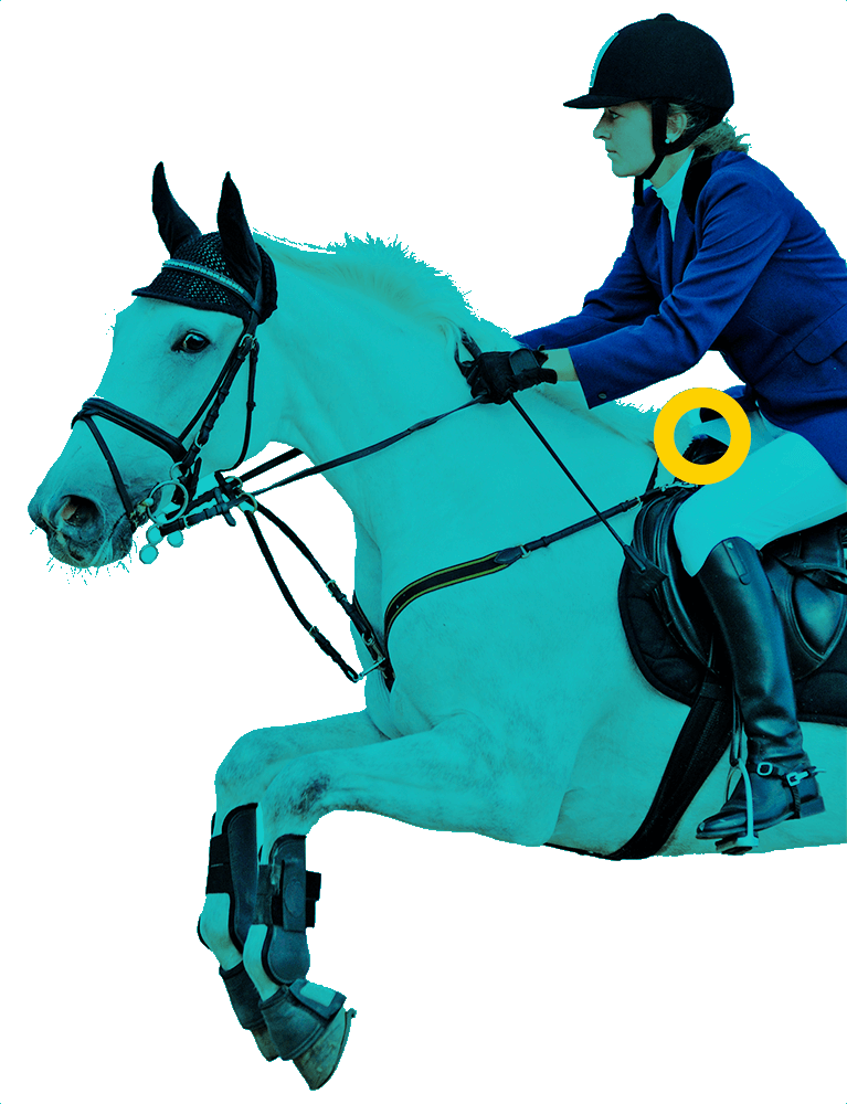 En la foto, una jinete saltando junto a su caballo.