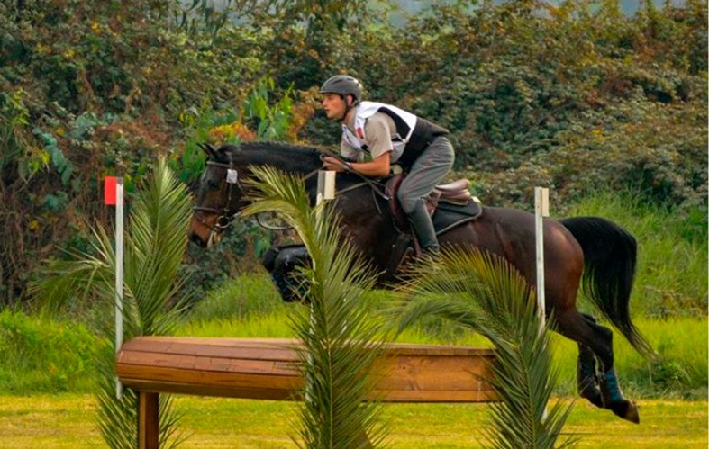 En la imagen, se aprecia en primer plano un jinete con su 
                            caballo. Están en posición de salto, sobrepasando un 
                            obstáculo. Se observan palmeras, pasto y árboles. 