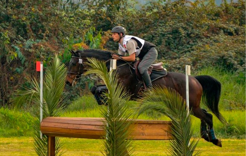 On the image, a close-up of a jockey with their horse can 
                            be appreciated. They are in a jumping position, 
                            surpassing an obstacle. There are also palm trees, grass 
                            and trees.