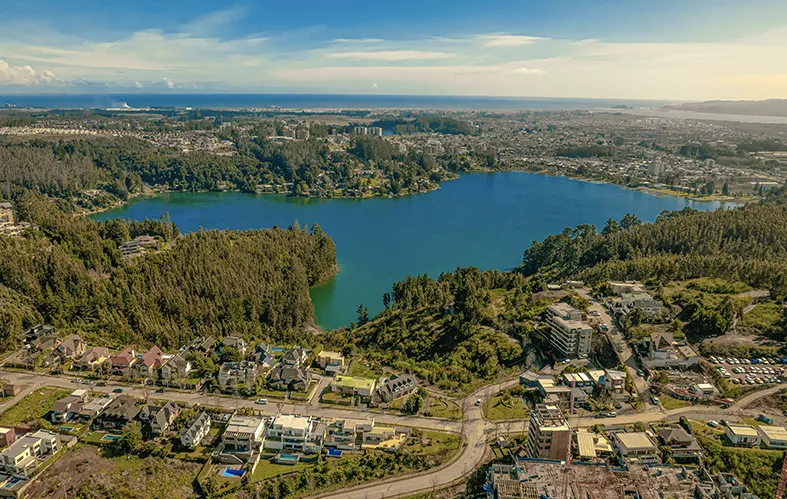 On the image, a frontal shot of the lagoon is appreciated. 
                            In the middle there are two rowers pushing with all of their 
                            levers. At the back you can see trees.