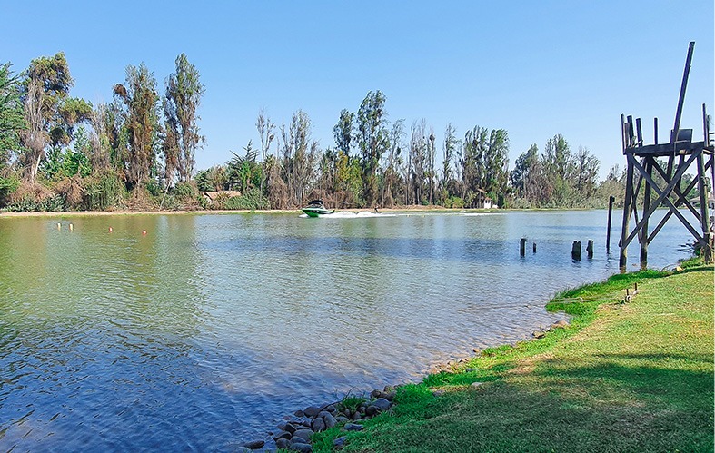 On the image, the lagoon of Los Morros of San 
                            Bernardo can be appreciated. There is grass and, at 
                            the back, threes.